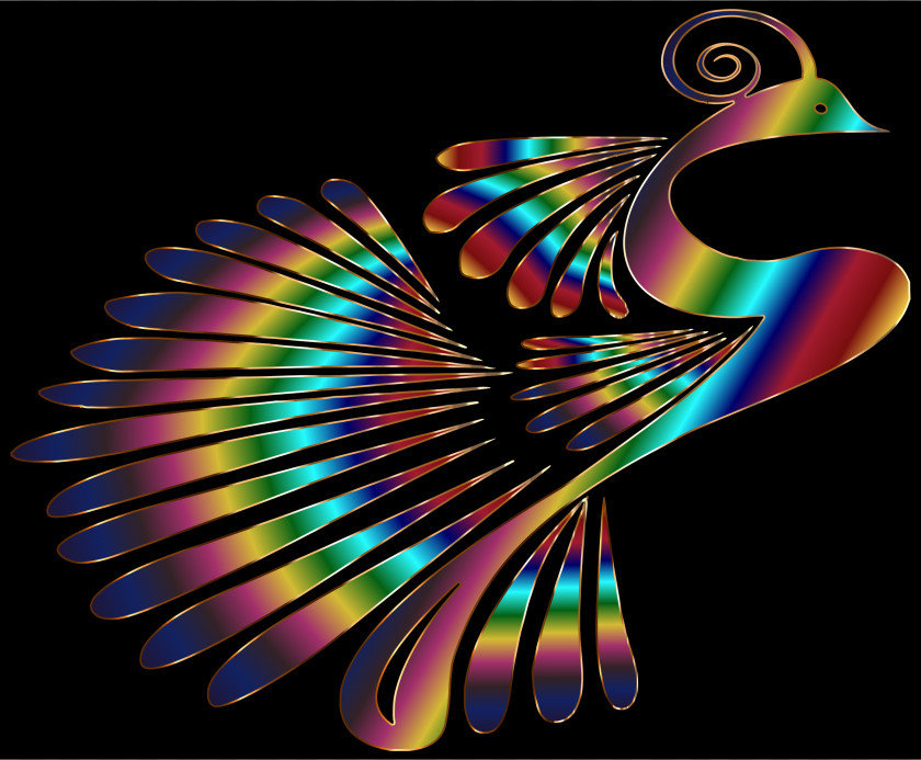 Peacock Bird Fractal Art Graphic Design Feather PNG