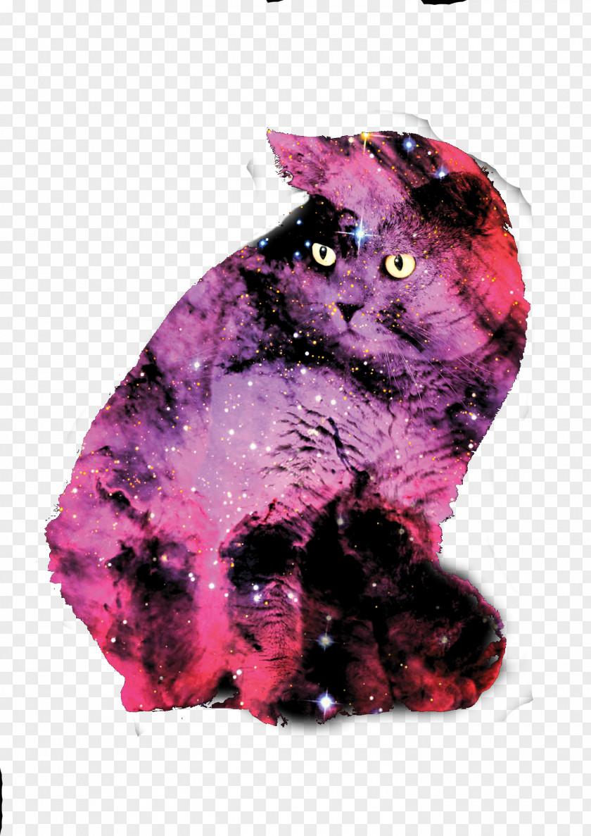 Sen Department Watercolor Suitcase British Shorthair Labrador Retriever Black Cat Popular Names Galaxy PNG