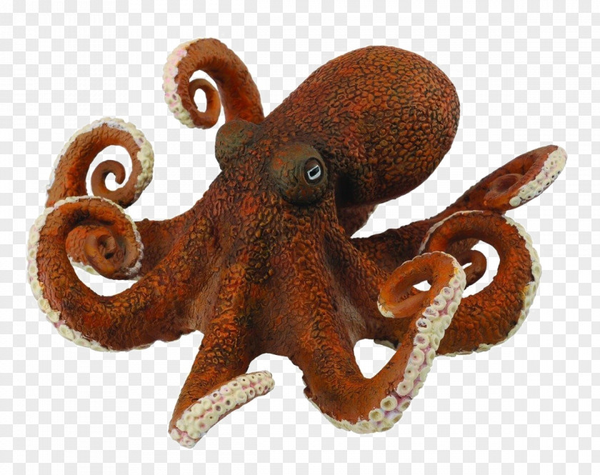 Toy Collecta Octopus Amazon.com Orca -X PNG