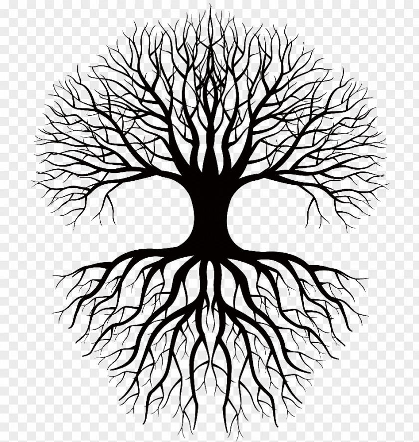 Tree Silhouette Coloring Book Drawing Root Clip Art PNG