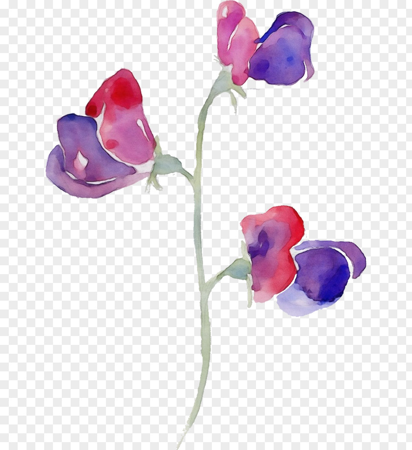 Artificial Flower Tulip Sweet Pea PNG