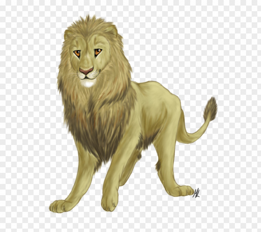 Aslan Lion Big Cat Roar Terrestrial Animal PNG