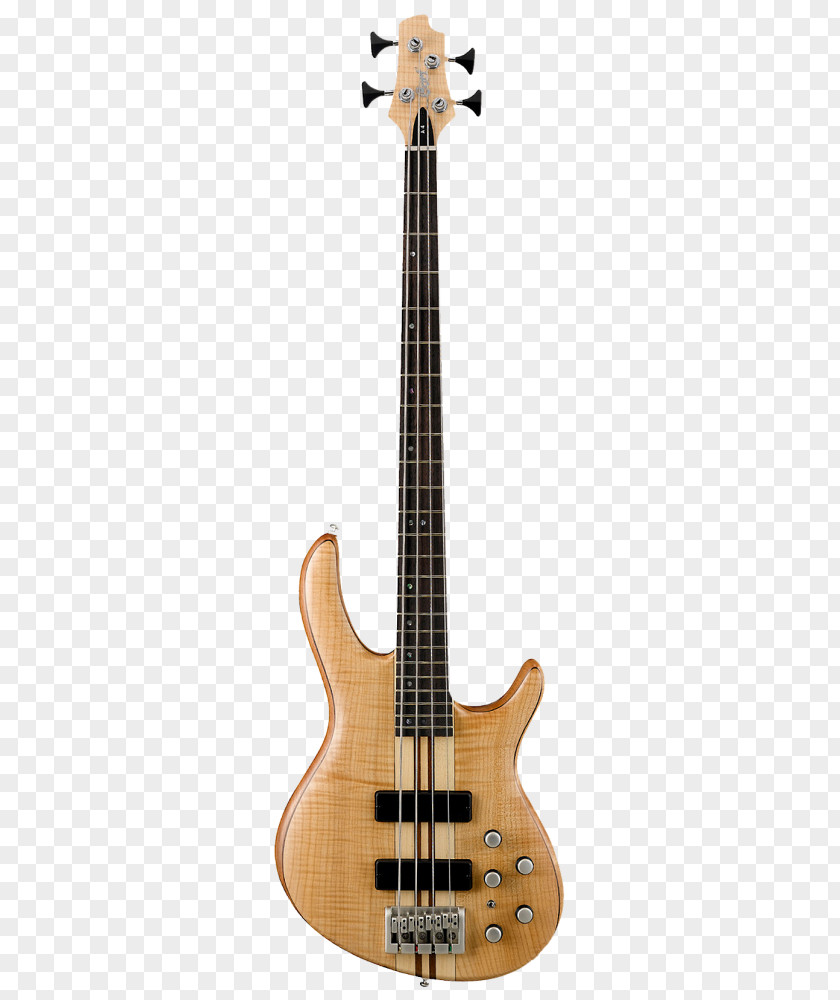 Bass Guitar Cort Guitars Double PNG