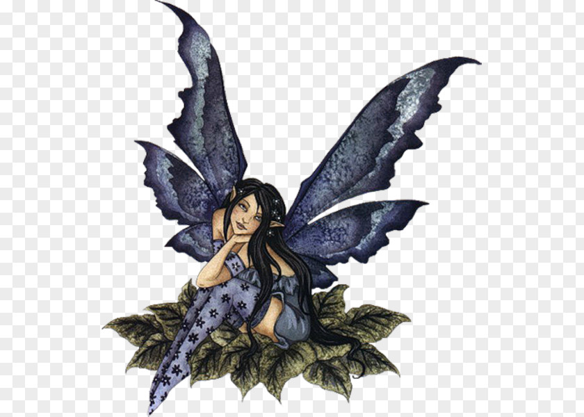 Fairy Pixie Legendary Creature Drawing Flower Fairies PNG