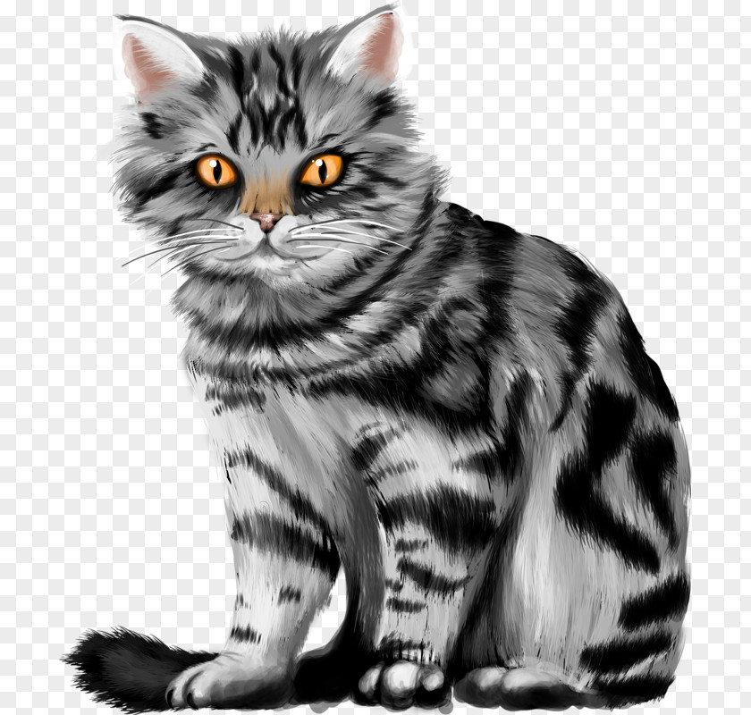 Lovely Cat Kitten Tabby Pet Sitting Clip Art PNG