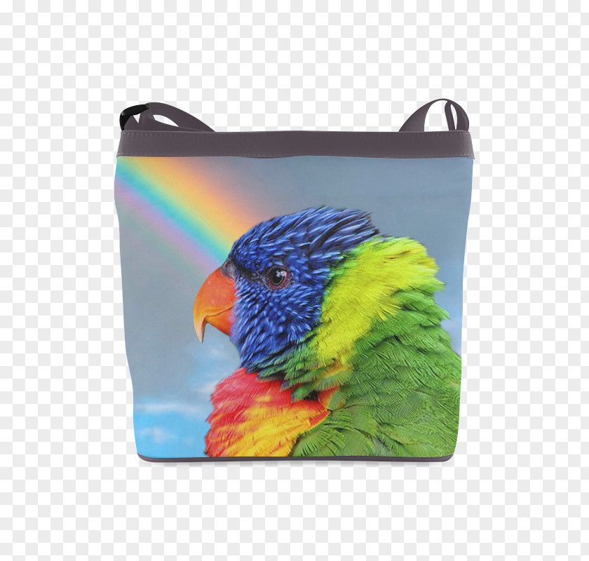Parrot Budgerigar Cockatiel Loriini Rainbow Lorikeet PNG