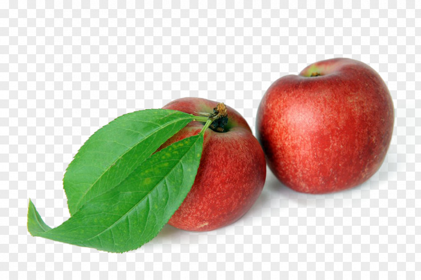 Peach Melba Fruit PNG