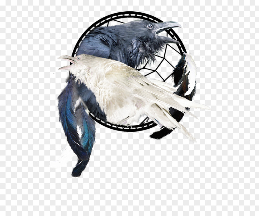 Raven Headgear PNG