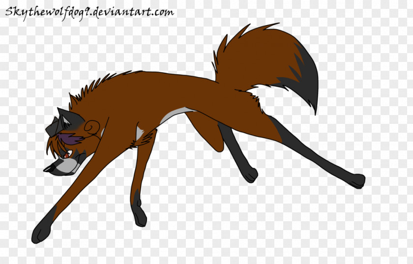Senpai Frame Mustang Canidae Cat Dog Mammal PNG