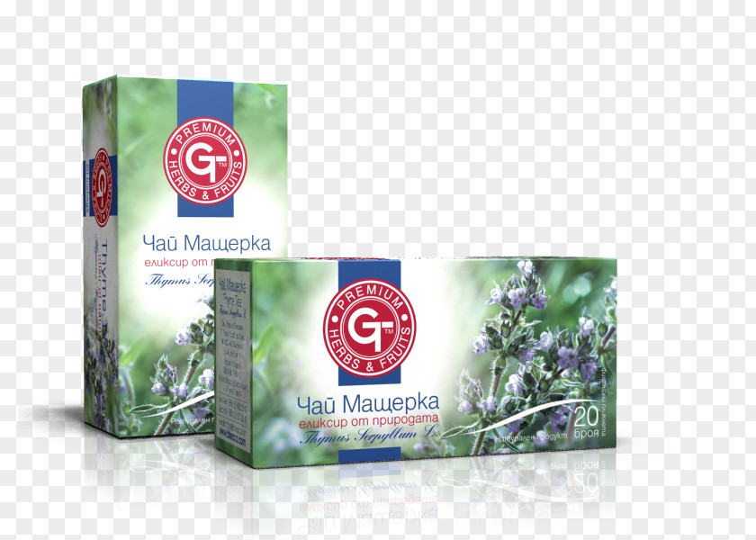 Tea Green Hibiscus Herbal Thyme PNG