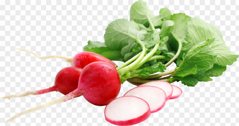 Vegetable Daikon Radishes Food Raphanus Raphanistrum Subsp. Sativus PNG
