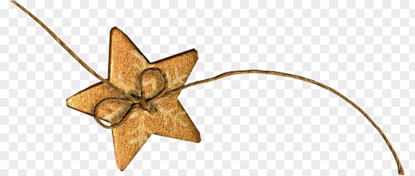 Cute Little Leaf Pentagram Five-pointed Star PNG