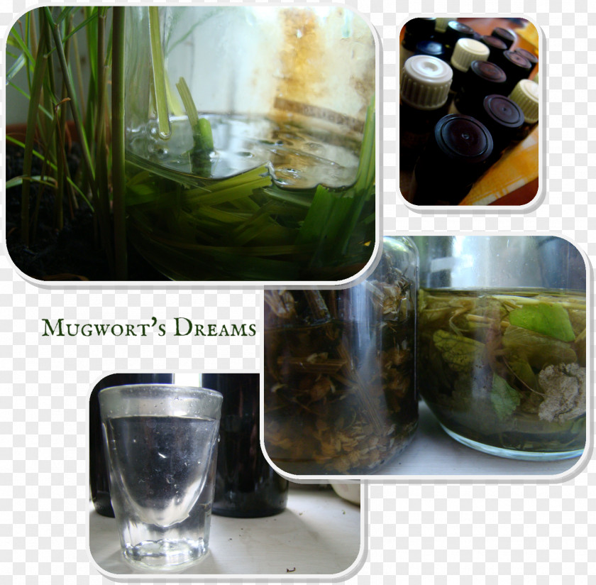 Essential Oil Bottle Herbal Tea Tincture Medicinal Plants Herbalism PNG