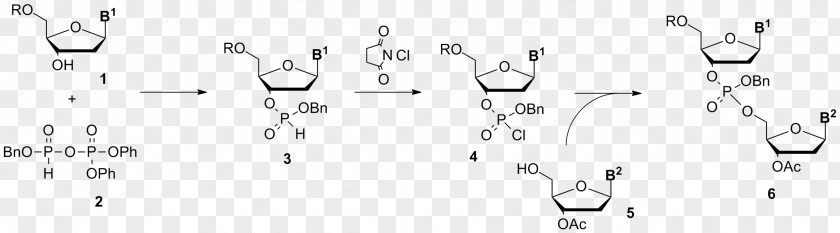 Oligonucleotide Synthesis DNA Microarray Recombinant PNG