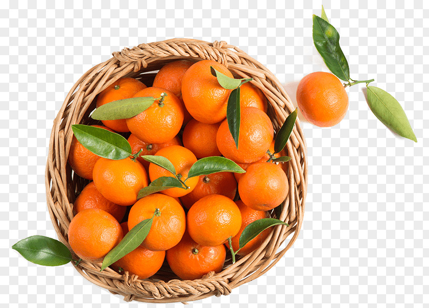 Orange Clementine Mandarin Tangerine Basket PNG