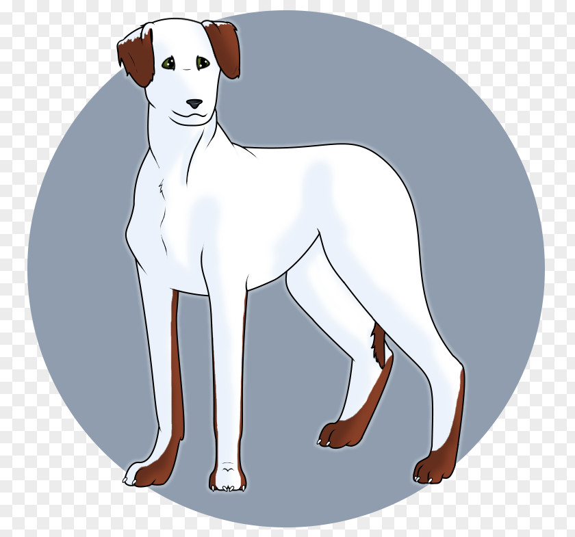 Puppy Dog Breed Italian Greyhound Non-sporting Group PNG