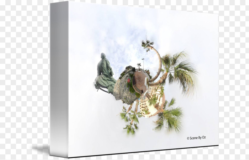 Tree Fauna Stock Photography Picture Frames PNG