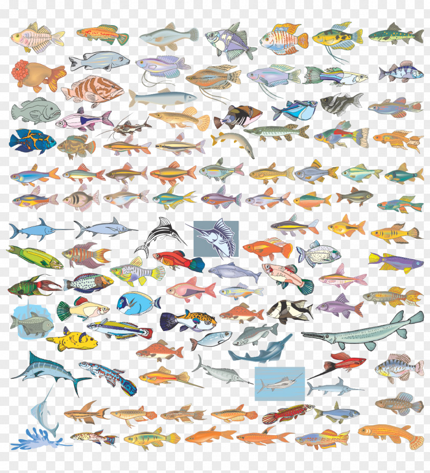 Vector Fish PNG