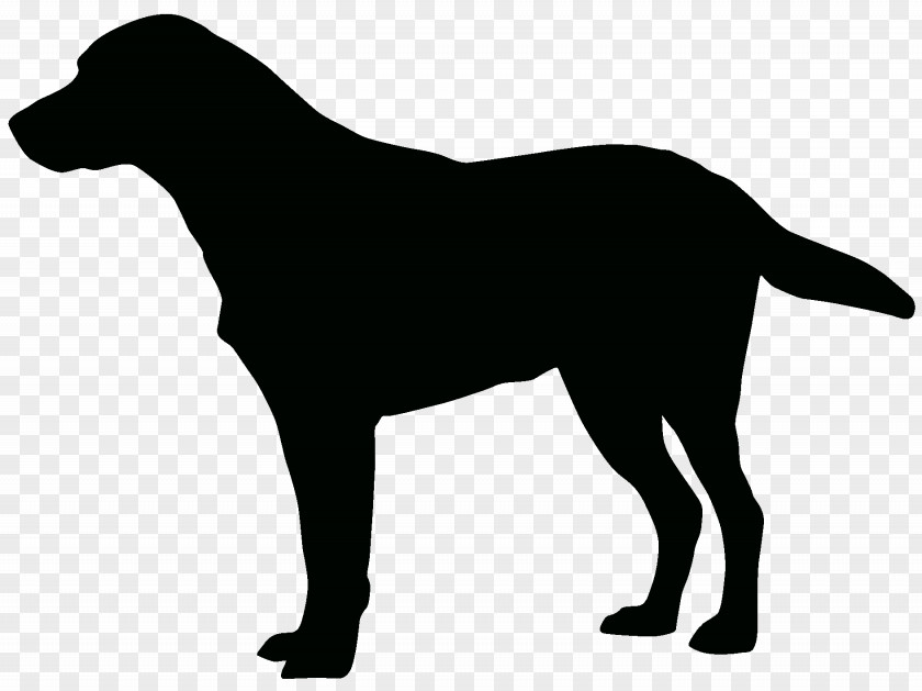 Collie Welpen American Lamancha Goat Labrador Retriever Decal Sticker PNG