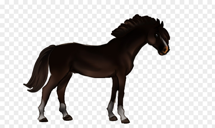 Horse Pony PNG