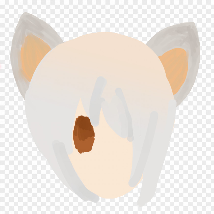 Shading Cat Bear Mammal Whiskers Snout PNG