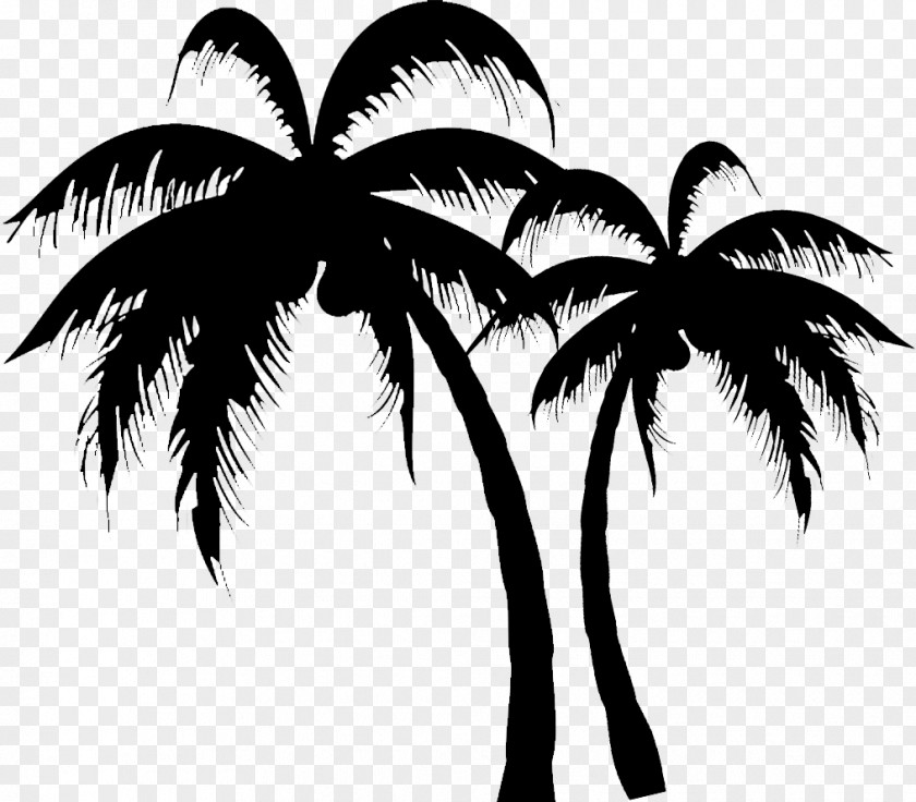 Silhouette Arecaceae Drawing PNG