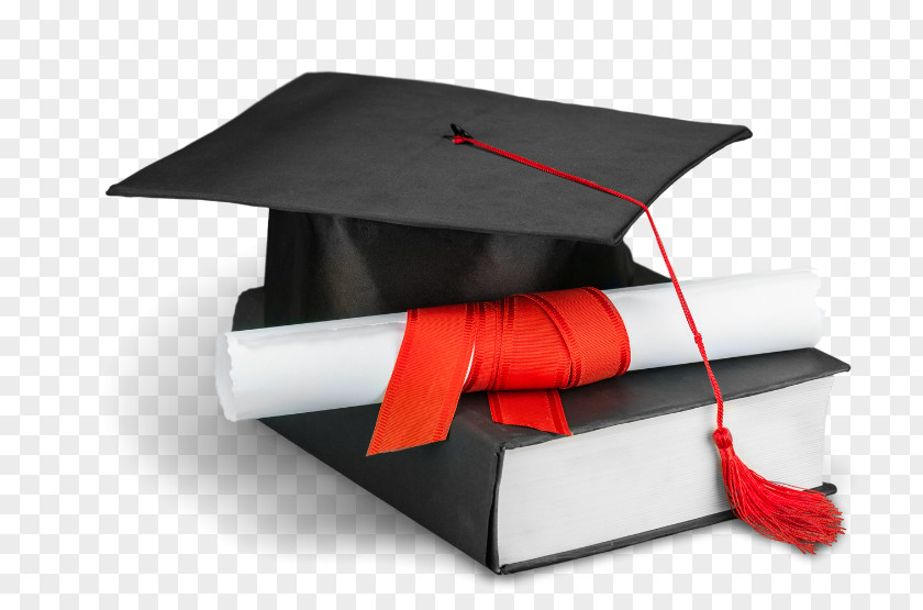 Standard First Aid And Personal Safety Diploma Graduation Ceremony Square Academic Cap Degree Student PNG