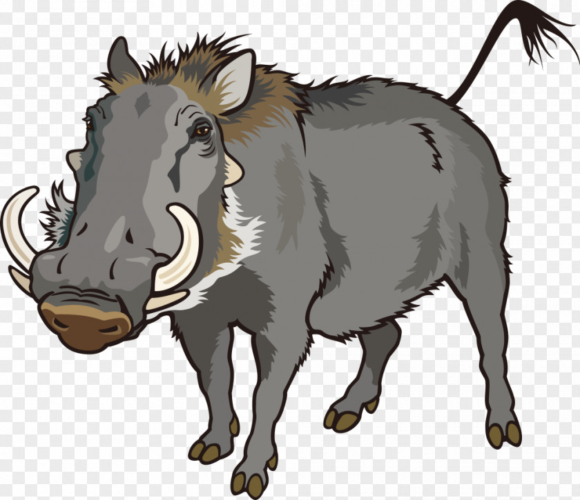 Vector Wild Boar Common Warthog Can Stock Photo Clip Art PNG