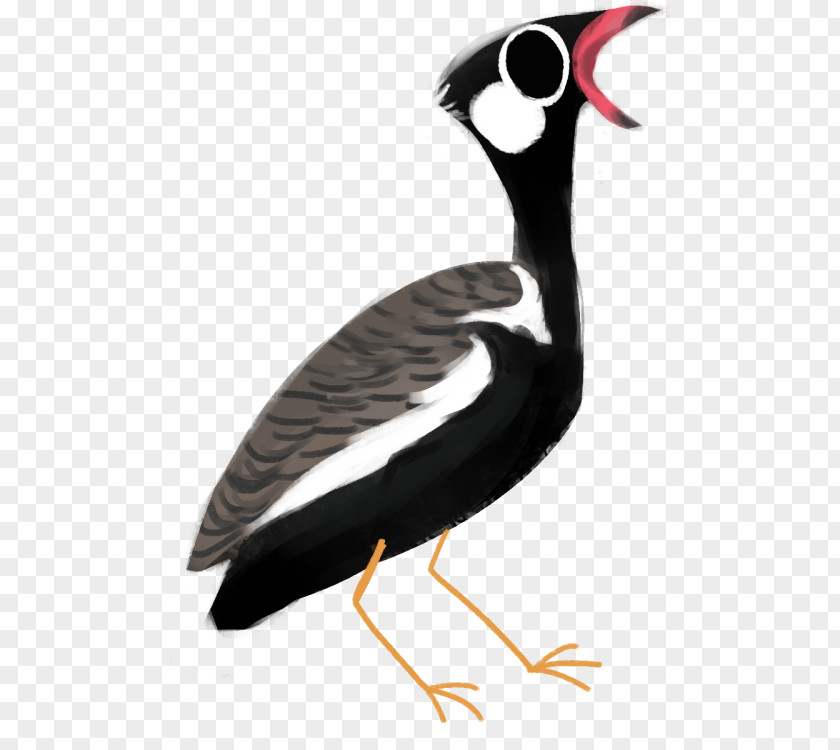 Demoiselle Crane Goose Wader Cygnini Duck Water Bird PNG