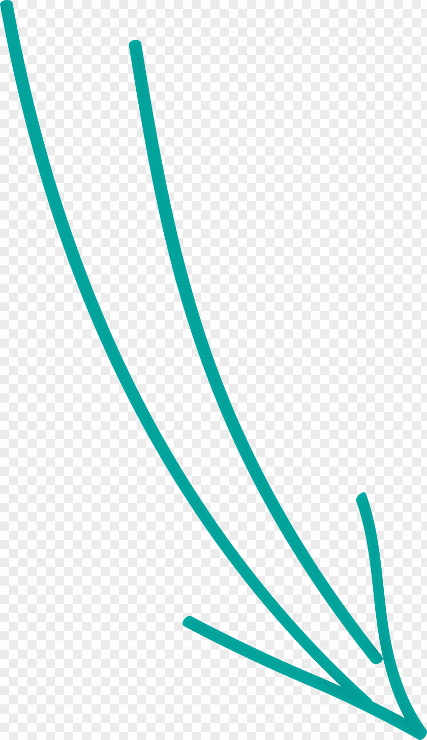 Hand Drawn Arrow PNG