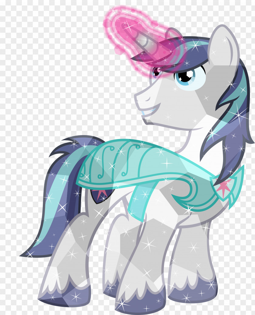 Horse Pony Twilight Sparkle Shining Armor Princess Cadance Rainbow Dash PNG