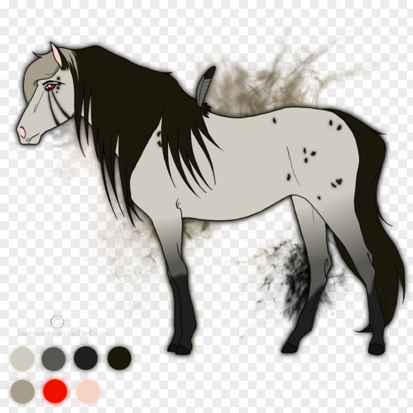 Mustang Foal Stallion Colt Bridle PNG