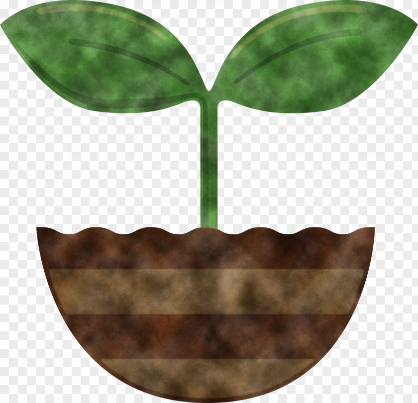 Sprout Bud Seed PNG