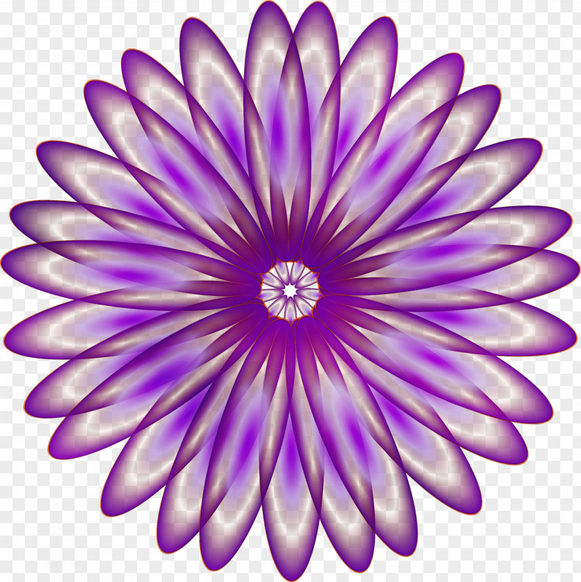 Floral Design PNG