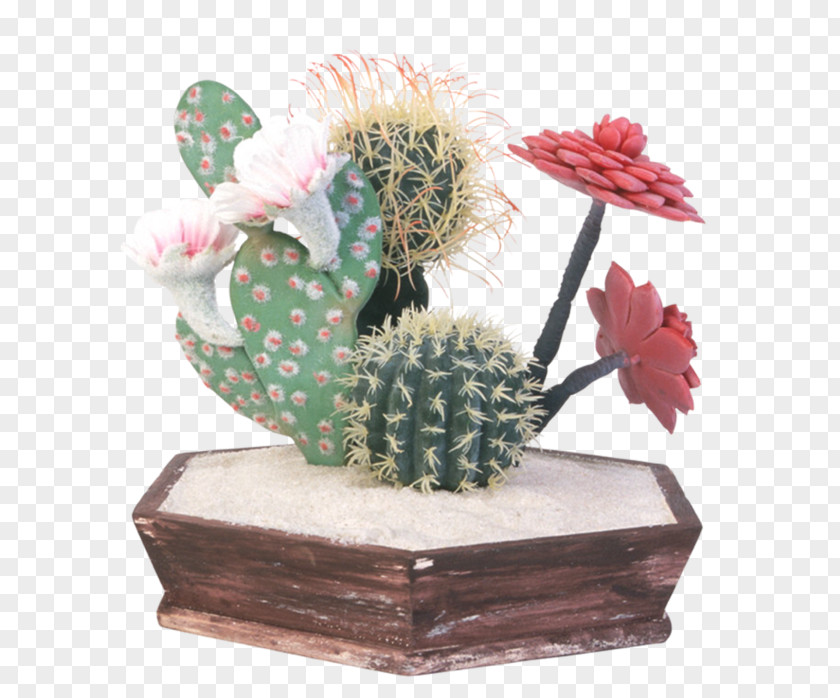 Flower Cactus Succulent Plant Plants Barbary Fig Flowerpot PNG