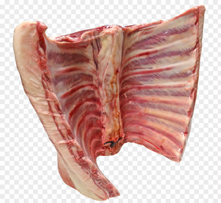 Meat Raw Foodism Lamb And Mutton Saturated Fat PNG