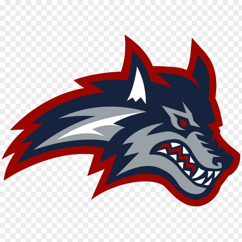 Stony Brook Seawolves Football Women's Basketball University Towson Tigers Connecticut Huskies PNG