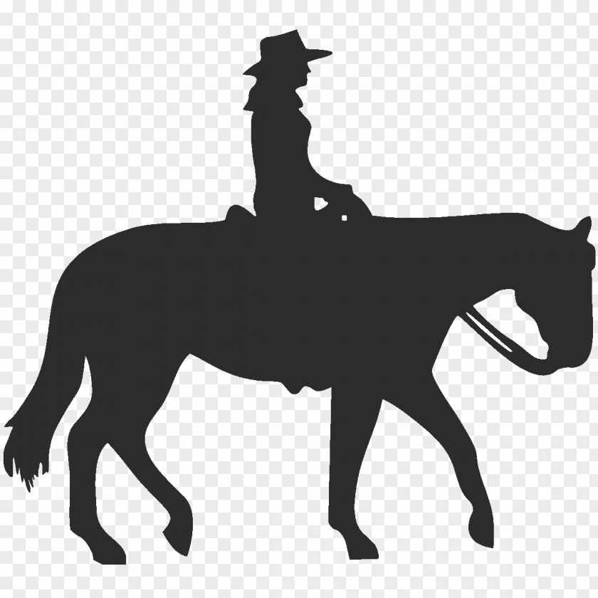 Carousel Hourse American Quarter Horse Equestrian Western Pleasure English Riding Clip Art PNG