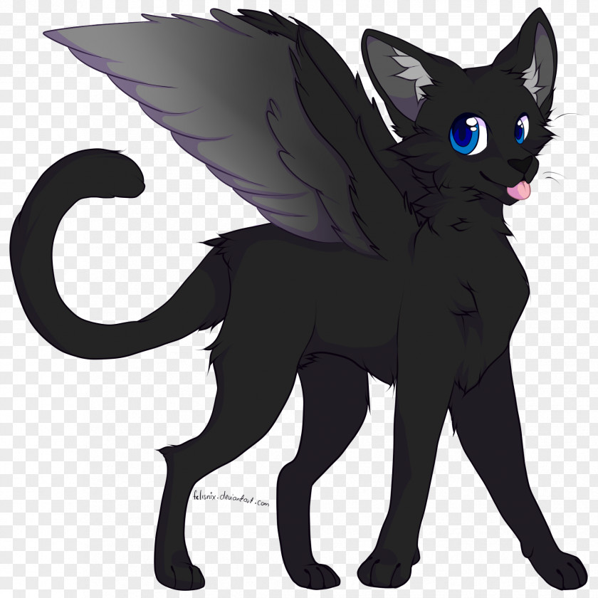 Cats Black Cat Kitten Whiskers Wing PNG