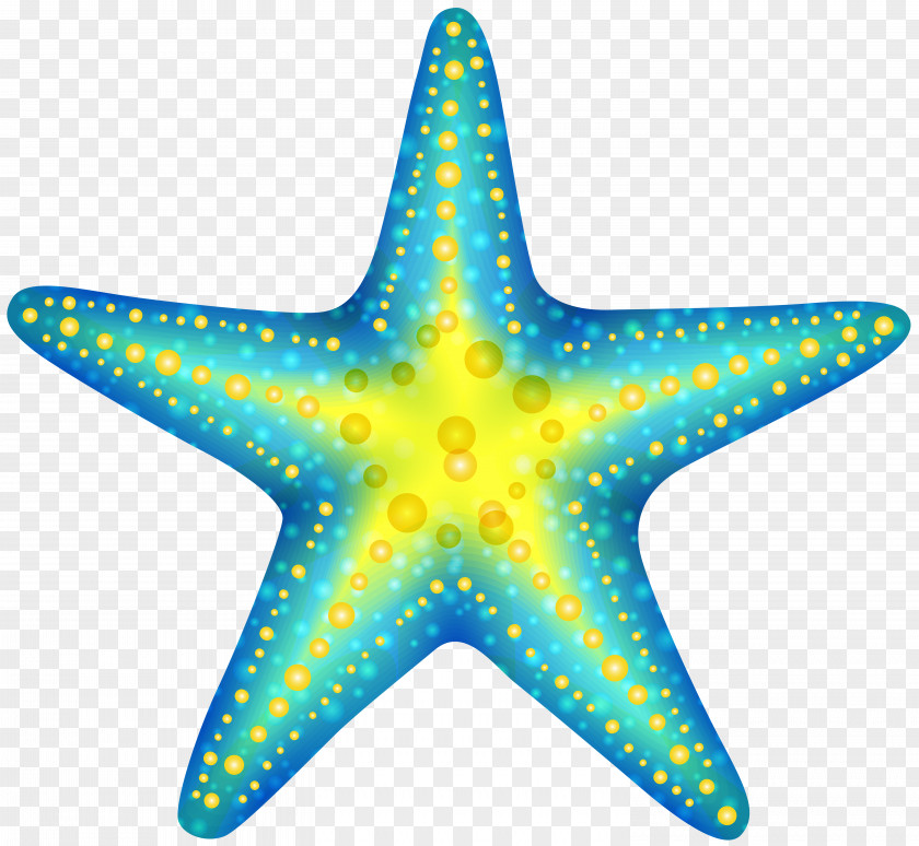 Cute Starfish Cliparts Clip Art PNG