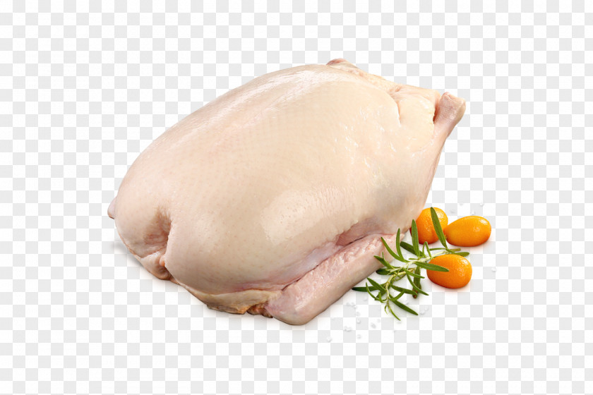 Duck Meat Turkey Mallard Chicken As Food PNG