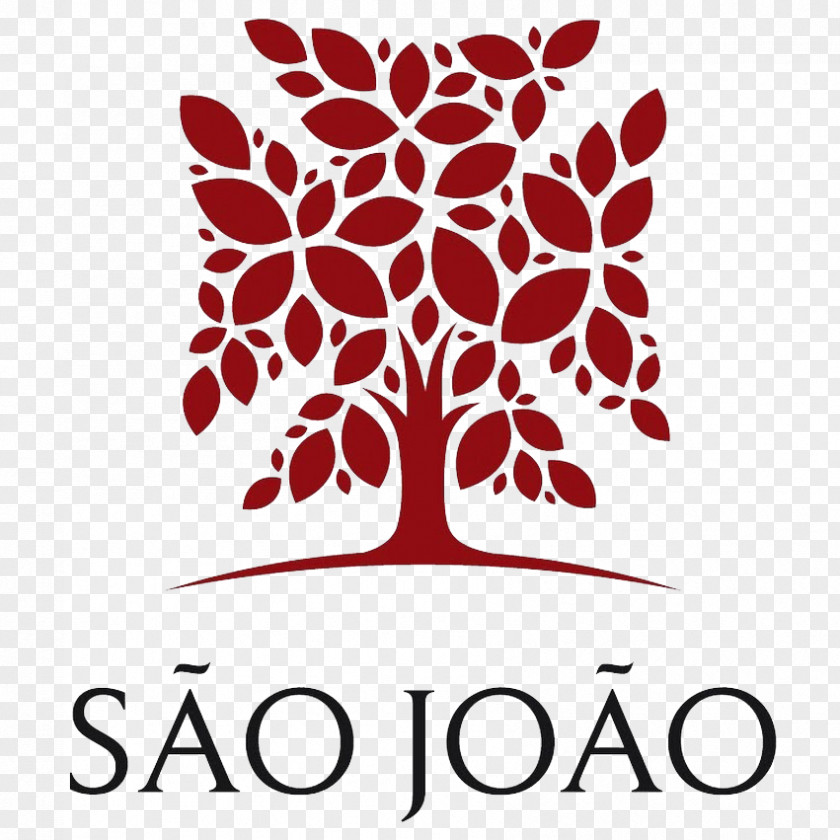 Sao Joao Saint John Hospital Physician De São João Medicine PNG