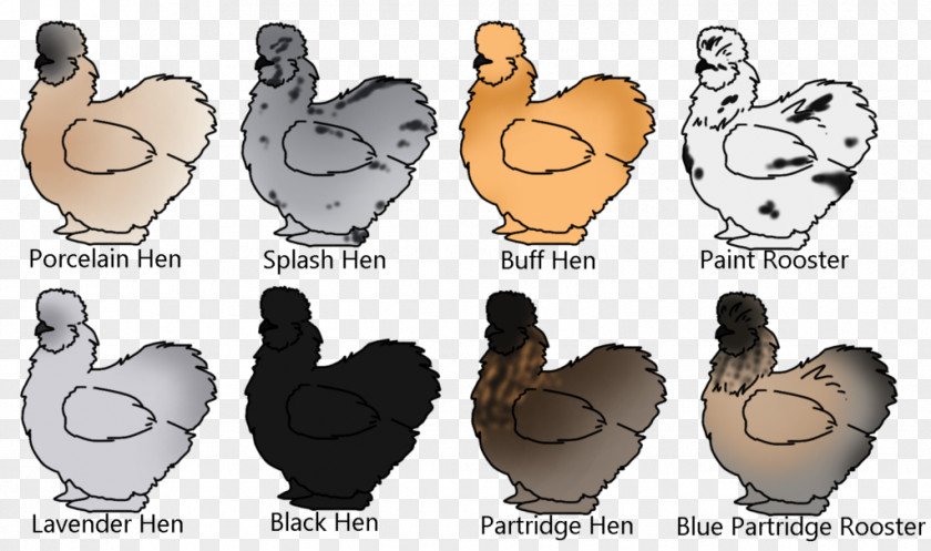 Silkie Chicken Rooster Cygnini Goose Bird PNG