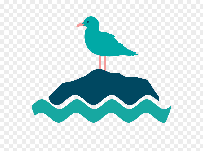 Tide Sea Bird PNG