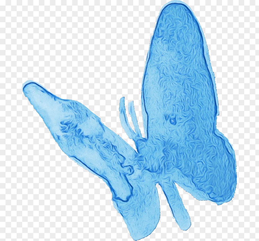 Fish Microsoft Azure Turquoise Science Biology PNG