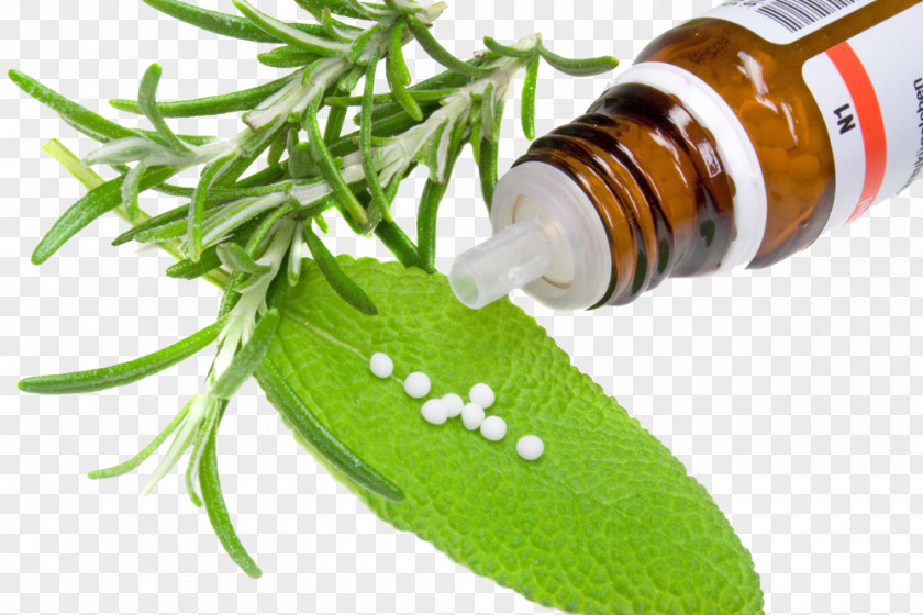 Herbs And Pills Alternative Health Services Medicine Herb Pharmaceutical Drug PNG