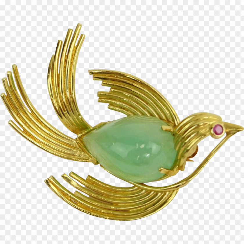 Jewellery Turquoise Brooch Body Feather PNG
