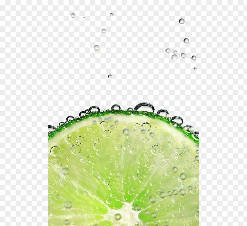 Lime Water Lemon-lime Drink Lemonade Key PNG