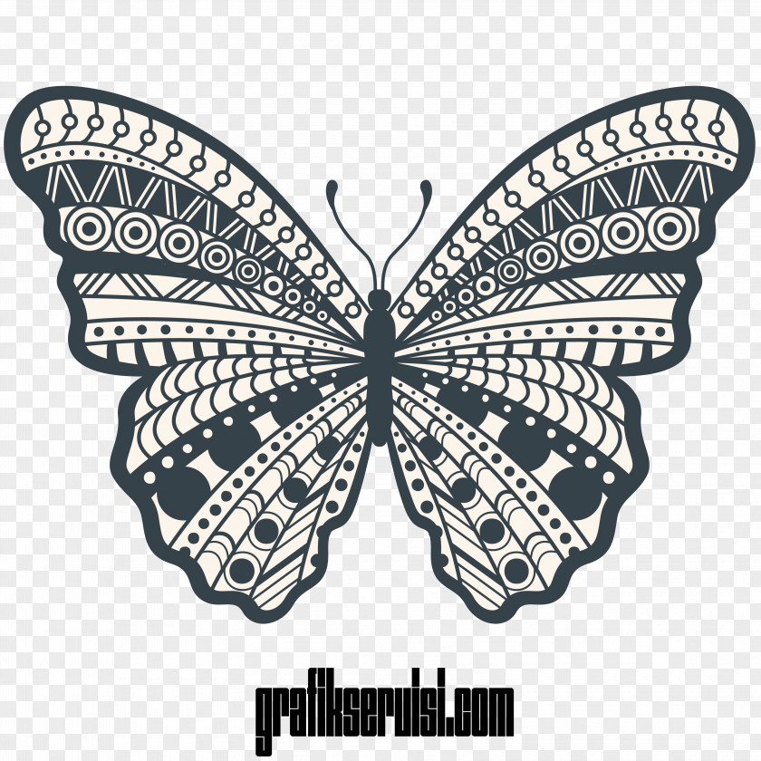 Muslims Burning Cross Butterfly Drawing Illustration Image Vector Graphics PNG