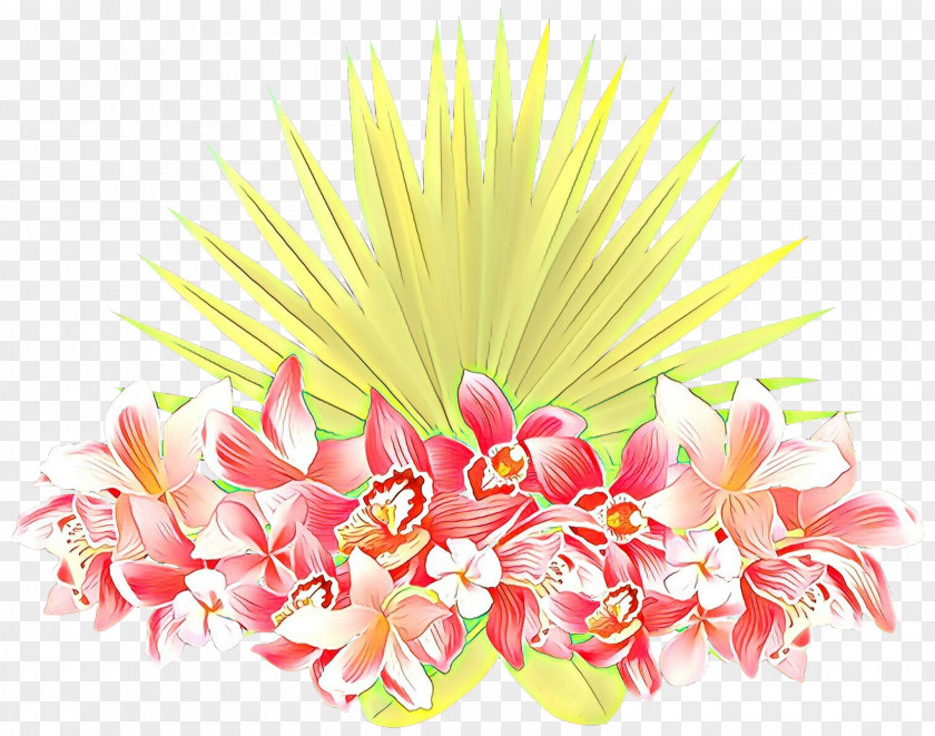 Perennial Plant Anthurium Pink Flower Cartoon PNG
